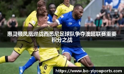 惠灵顿凤凰迎战西悉尼足球队争夺澳超联赛重要积分之战